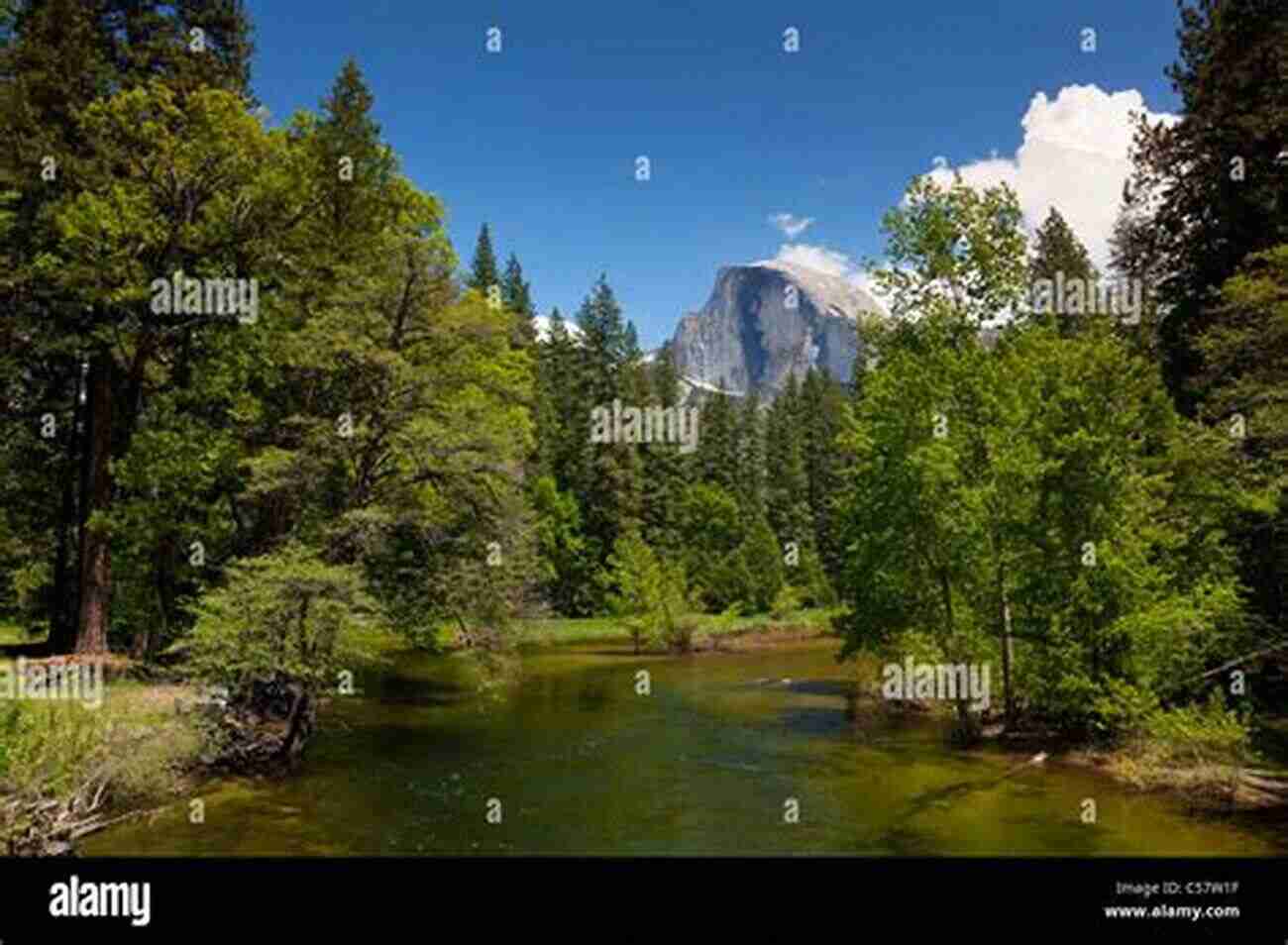 Yosemite National Park: A View Of The Iconic Half Dome In The Distance With The Merced River Flowing Through The Valley Yosemite National Park Sierra National Forest Fresno King S Canyon