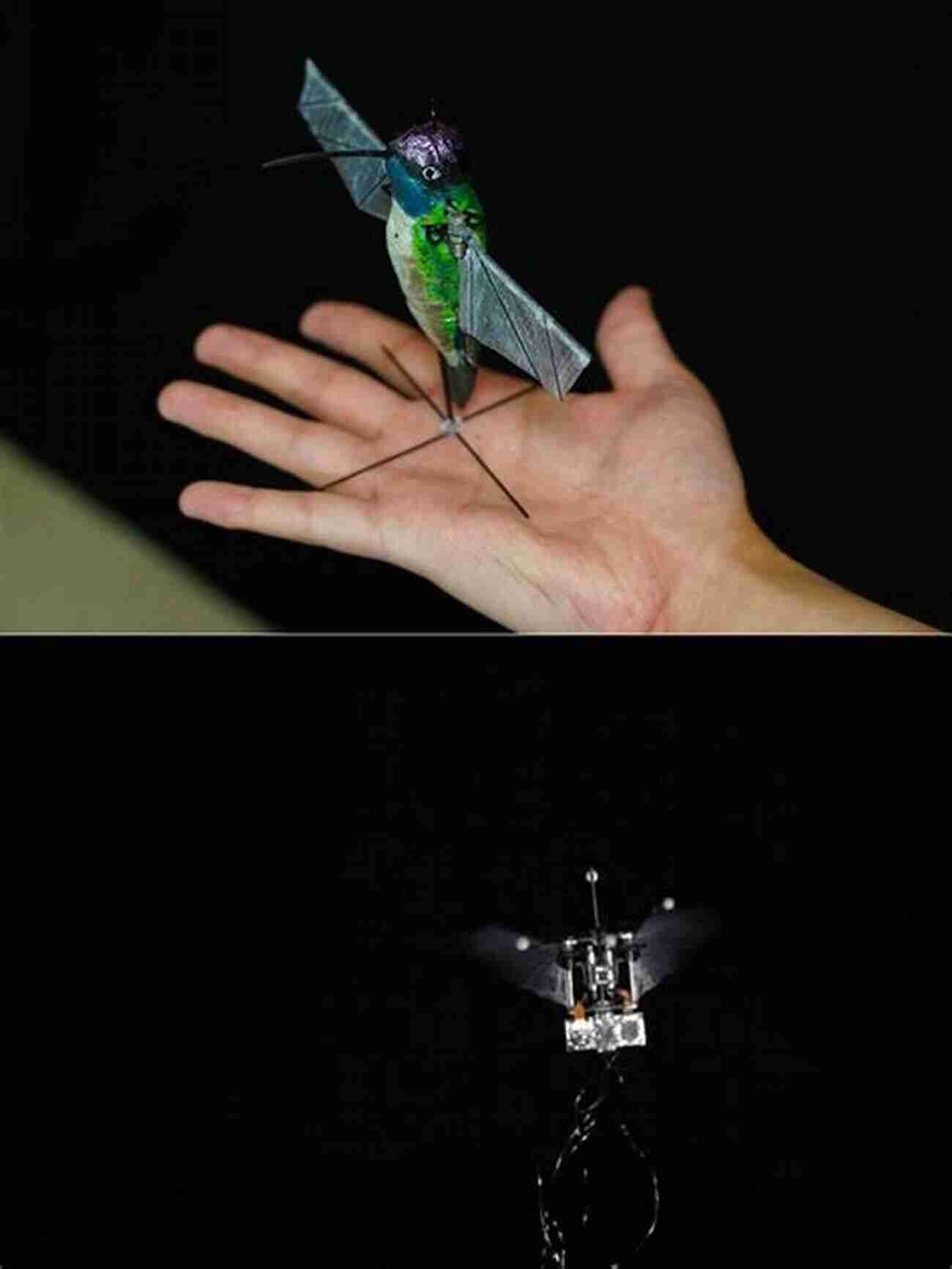 A Captivating Image Of Sparkle 22, A Small Robotic Assistant Resembling A Hummingbird With Shimmering Wings 123: Robots Of The Numeric Planet