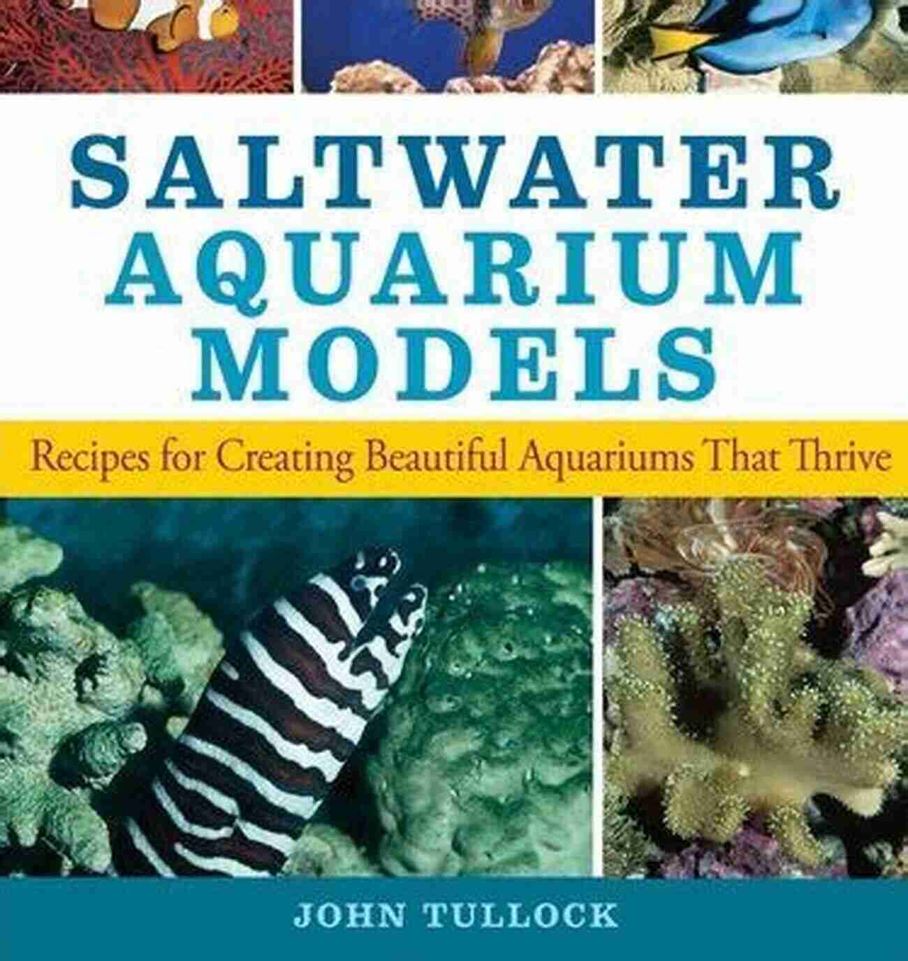 Recipes For Creating Beautiful Aquariums That Thrive Saltwater Aquarium Models: Recipes For Creating Beautiful Aquariums That Thrive