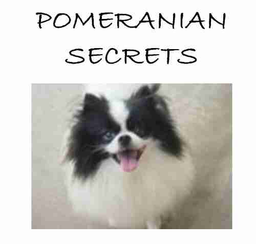 Pomeranian Secrets: How to Raise Happy and Healthy Pomeranians