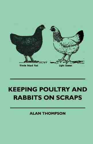 Keeping Poultry and Rabbits on Scraps