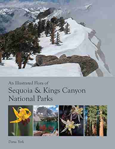 An Illustrated Flora of Sequoia Kings Canyon National Parks: And Adjacent Southern Sierra Nevada (eBook March 2021 Tenth Version)