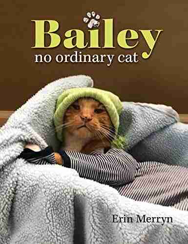 Bailey No Ordinary Cat Erin Merryn