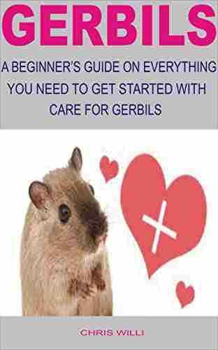 Gerbils: A Beginner S Guide On Everything You Need To Get Started With Care For Gerbils