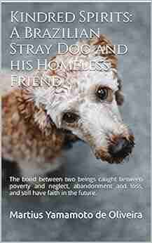 Kindred Spirits: A Brazilian Stray Dog and his Homeless Friend: Pet Loss Death Heaven Life Home Bridge Afterlife Grief Spirit Messages Reincarnation NDE Animal Human Rights