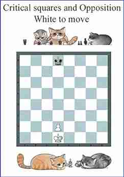 Opposition Critical Squares: The Most Important Chess Pattern A Chance To Win Draw Or Lose With The Right Move Just One: Can You Afford Not To Know How? (Chess Manual)