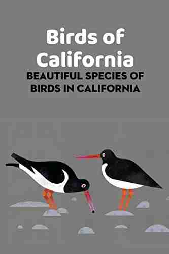 Birds of California: Beautiful Species of Birds in California: Guide to Identify Birds of California