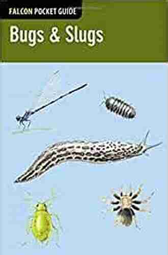 Bugs Slugs (Falcon Pocket Guides)