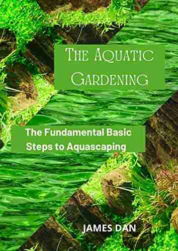 The Aquatic Gardening: The Fundamental Basic Steps to Aquascaping