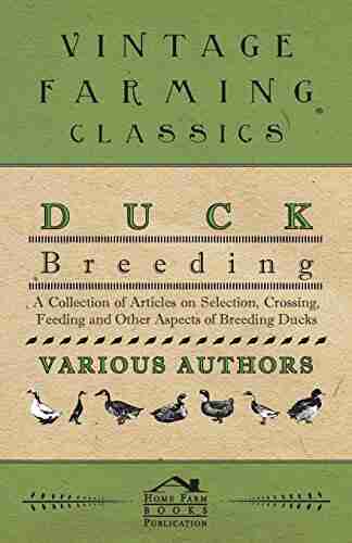 Duck Breeding A Collection Of Articles On Selection Crossing Feeding And Other Aspects Of Breeding Ducks