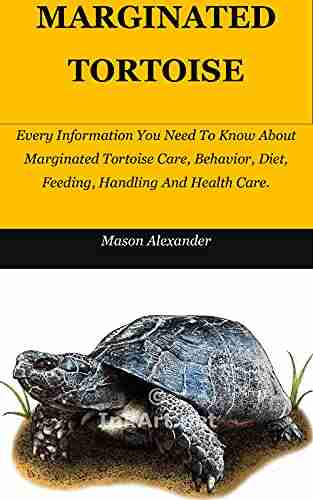 MARGINATED TORTOISE: Every Information You Need To Know About Marginated Tortoise Care Behavior Diet Feeding Handling And Health Care