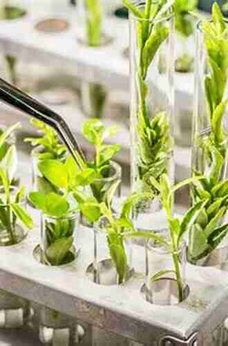 Plant Biotechnology and Agriculture: Prospects for the 21st Century