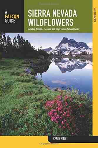 Sierra Nevada Wildflowers 2nd: A Field Guide To Common Wildflowers And Shrubs Of The Sierra Nevada Including Yosemite Sequoia And Kings Canyon National Parks (Wildflower Series)