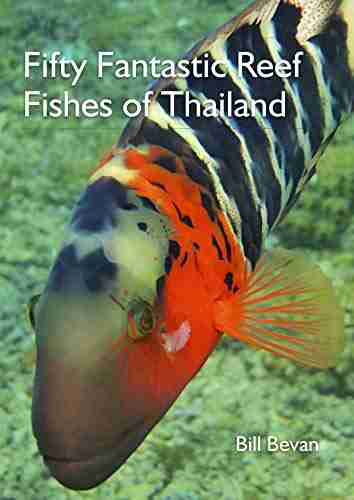 Fifty Fantastic Reef Fishes of Thailand