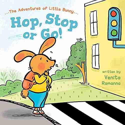 Hop Stop or Go (The Adventures of Little Bunny 1)