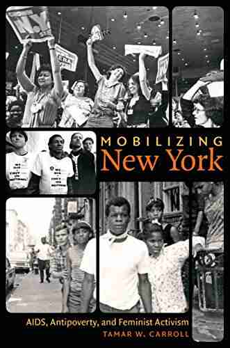 Mobilizing New York: AIDS Antipoverty And Feminist Activism (Gender And American Culture)