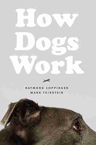 How Dogs Work Raymond Coppinger