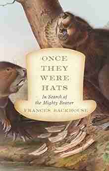 Once They Were Hats: In Search Of The Mighty Beaver