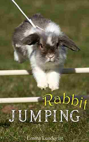 Rabbit Jumping: How To Teach Your Rabbit To Jump