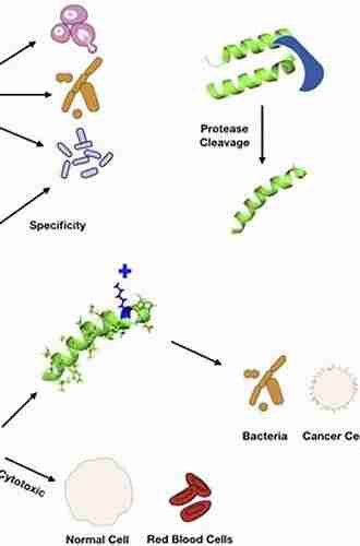 Peptides: Synthesis Structures And Applications