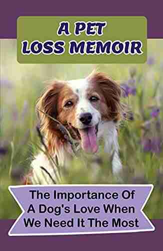 A Pet Loss Memoir: The Importance Of A Dog S Love When We Need It The Most: The Adventures Of A Canine Caregiver