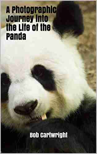 A Photographic Journey Into The Life Of The Panda