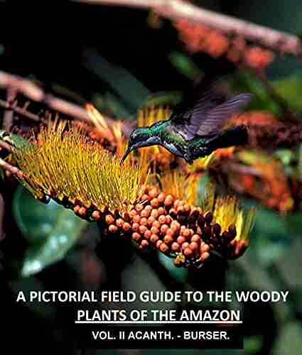 A Pictorial Field Guide to the Woody Plants of the Amazon VOL II: ACANTHACEAE BURSERACEAE