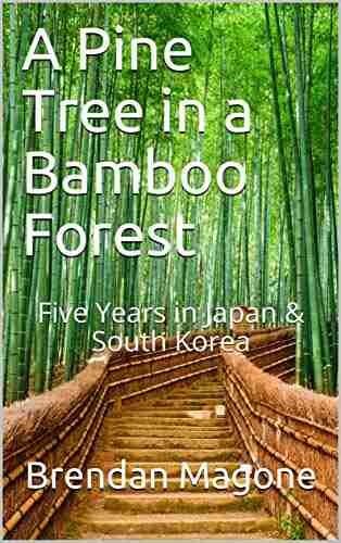 A Pine Tree In A Bamboo Forest: Five Years In Japan South Korea