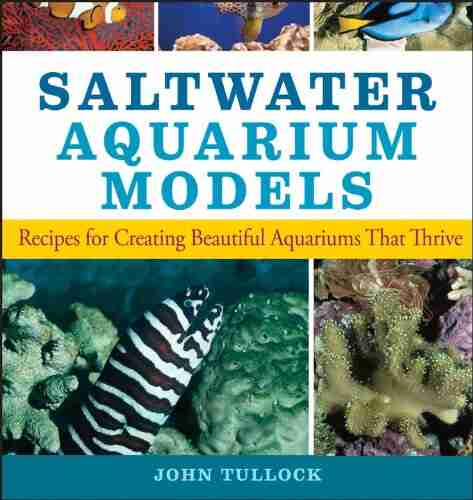 Saltwater Aquarium Models: Recipes For Creating Beautiful Aquariums That Thrive