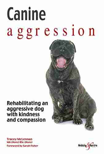 Canine Aggression : Rehabilitating An Aggressive Dog With Kindness And Compassion