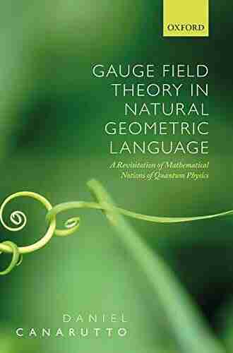 Gauge Field Theory in Natural Geometric Language: A revisitation of mathematical notions of quantum physics