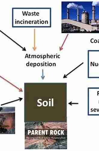 Selenium In The Environment (Books In Soils Plants And The Environment)