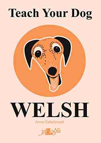 Teach your Dog Welsh Eigel Wiese