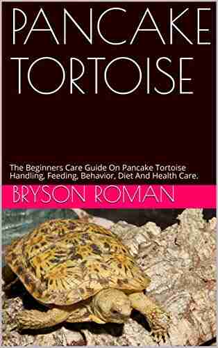 PANCAKE TORTOISE: The Beginners Care Guide On Pancake Tortoise Handling Feeding Behavior Diet And Health Care