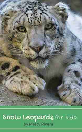 Snow Leopards For Kids Alan D Taylor