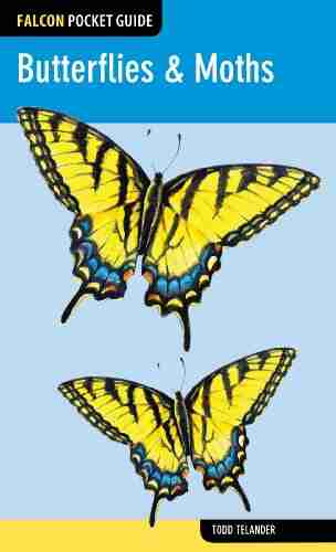 Butterflies Moths (Falcon Pocket Guides)