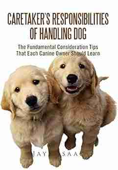 Caretaker S Responsibilities Of Handling Dog: The Fundamental Consideration Tips That Each Canine Owner Should Learn