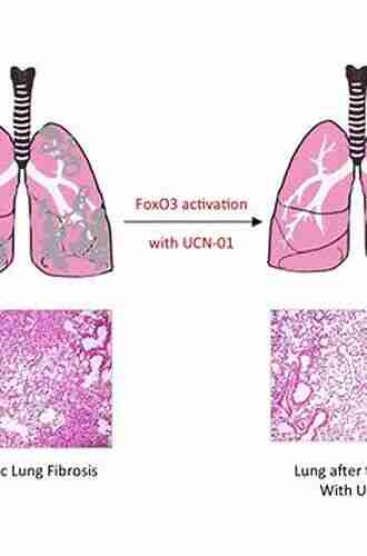 Models of Lung Disease: Microscopy and Structural Methods (Lung Biology in Health and Disease 47)