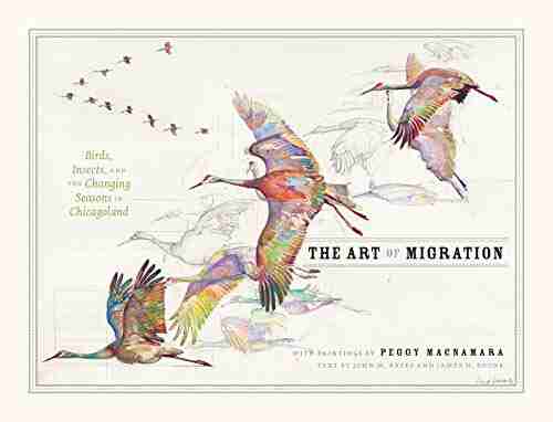 The Art Of Migration: Birds Insects And The Changing Seasons In Chicagoland