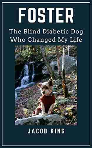 FOSTER: The Blind Diabetic Dog Who Changed My Life