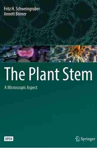 The Plant Stem: A Microscopic Aspect