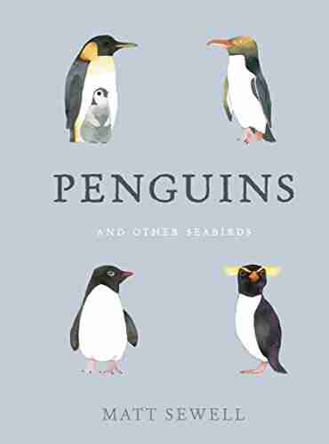 Penguins and Other Seabirds Matt Sewell