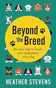 Beyond The Breed: The New Way To Know And Understand Your Dog