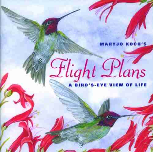 Flight Plans: A Bird s Eye View of Life