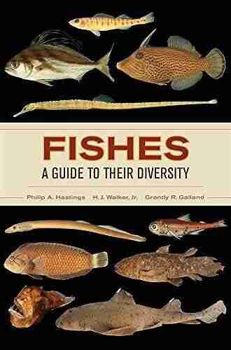 Fishes: A Guide to Their Diversity