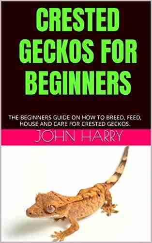 CRESTED GECKOS FOR BEGINNERS: THE BEGINNERS GUIDE ON HOW TO BREED FEED HOUSE AND CARE FOR CRESTED GECKOS