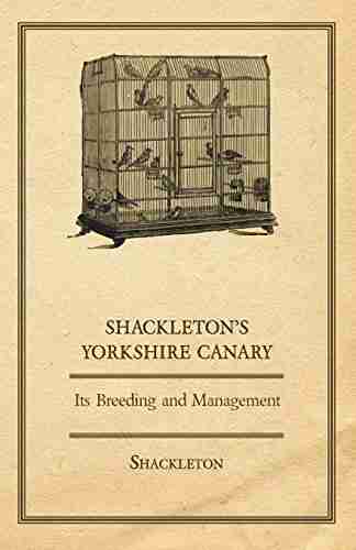 Shackleton S Yorkshire Canary Its Breeding And Management