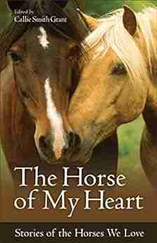 The Horse Of My Heart: Stories Of The Horses We Love