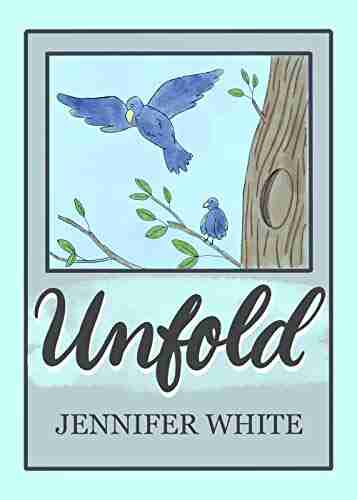 Unfold: Faith full healing after adultery and divorce