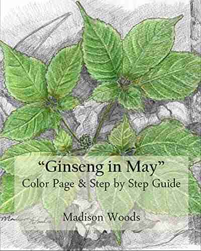 Sketch Your Own Ginseng: Color Page Step by Step Guide